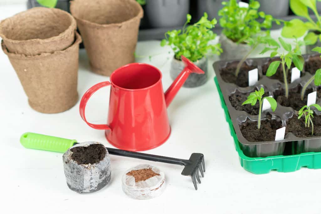 Gardening tools and accessories for plant transplantation and home garden maintenance. Seedlings in pellets. Growing vegetables and flowers in seedlings for an early harvest.
